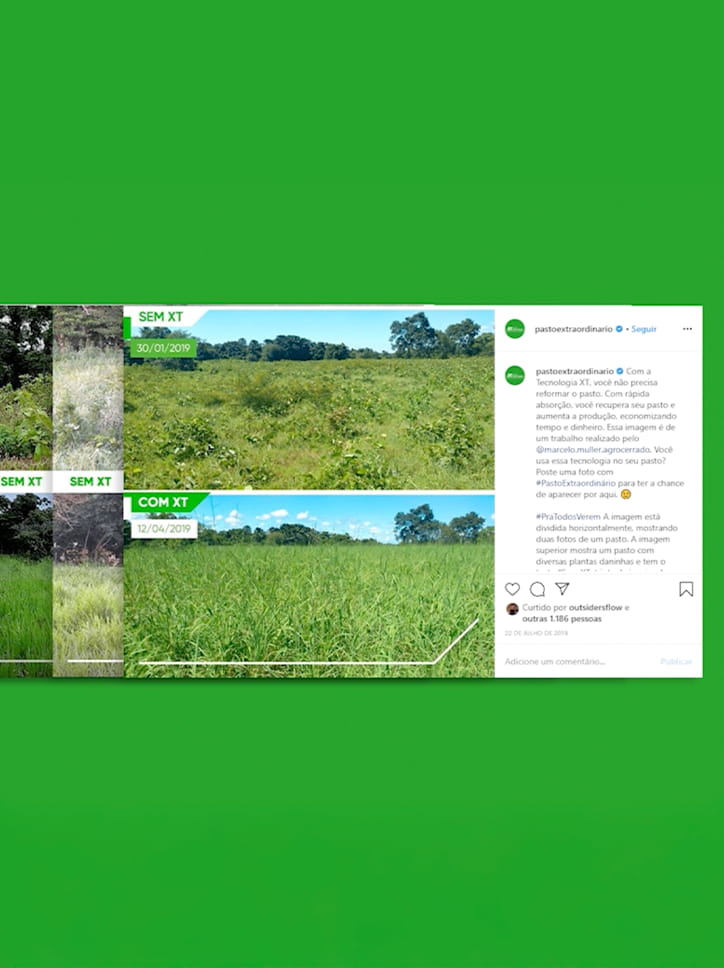 Post de Instagram do perfil "pastoextraordinario" da Corteva, com uma comparação "antes e depois" da eficácia da tecnologia XT na reforma de pastagens.