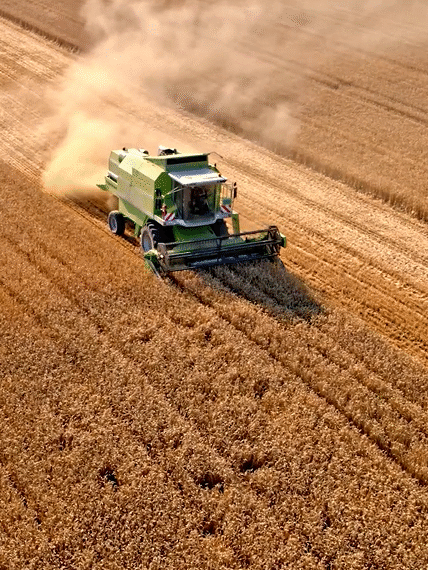 Vista aérea de uma colheitadeira verde avançando sobre uma extensa plantação de grãos, levantando poeira durante a colheita.